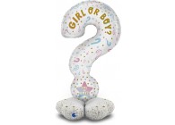 GK70011-P The Standups - Question Mark Gender Reveal
