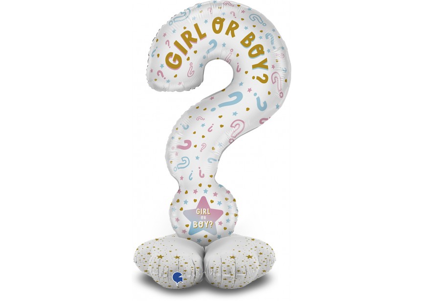GK70011-P The Standups - Question Mark Gender Reveal