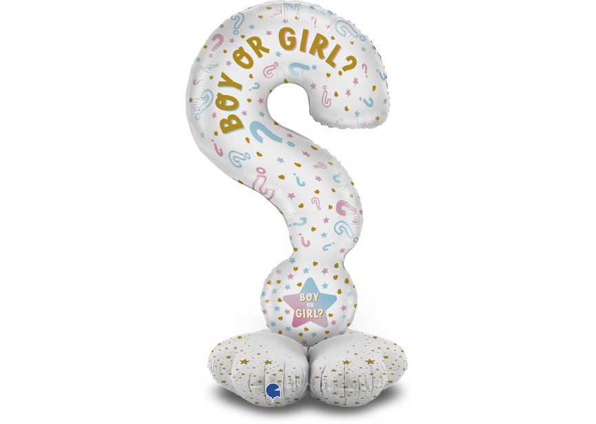 GK70011-P The Standups - Question Mark Gender Reveal-1